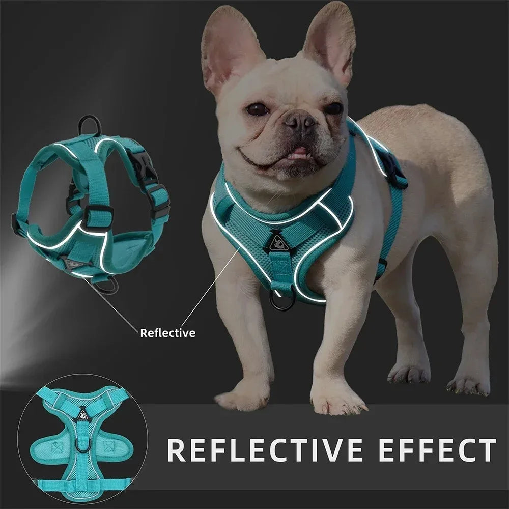 ComfortFit™: No Pull Harness Set for Safer, Stress-Free Walks