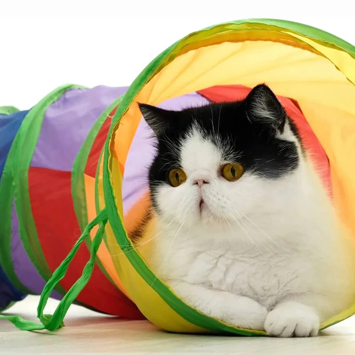 TunnelPlay™: Foldable Cat Tunnel for Active Indoor Exploration