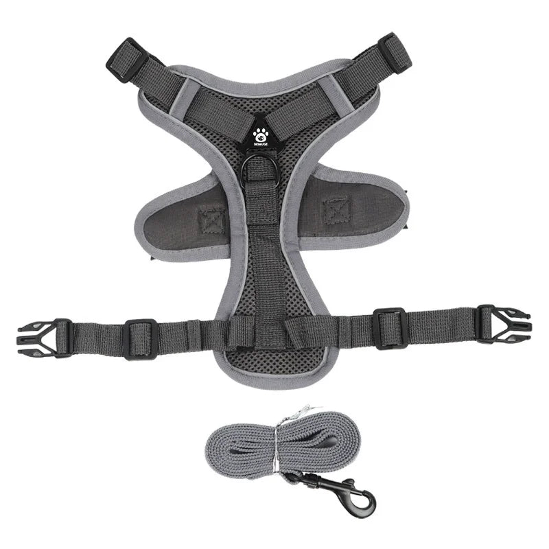 ComfortFit™: No Pull Harness Set for Safer, Stress-Free Walks