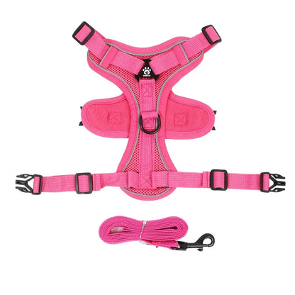 ComfortFit™: No Pull Harness Set for Safer, Stress-Free Walks